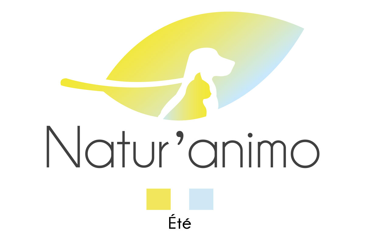 logo naturanimo été