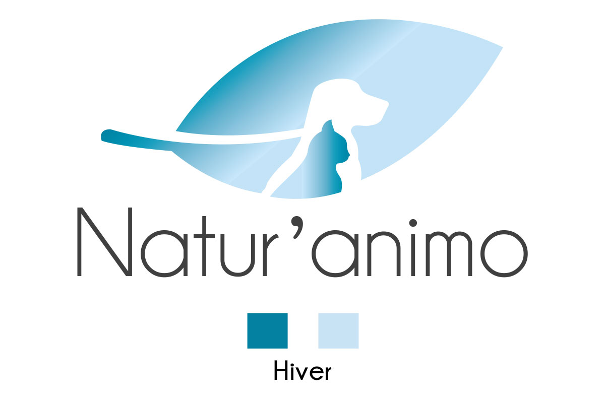 logo naturanimo hiver