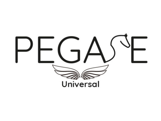 logo Pegase Universe officiel