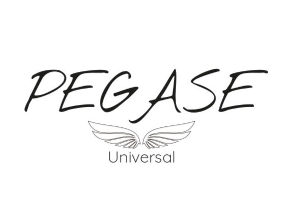 logo Pegase Universe proposition