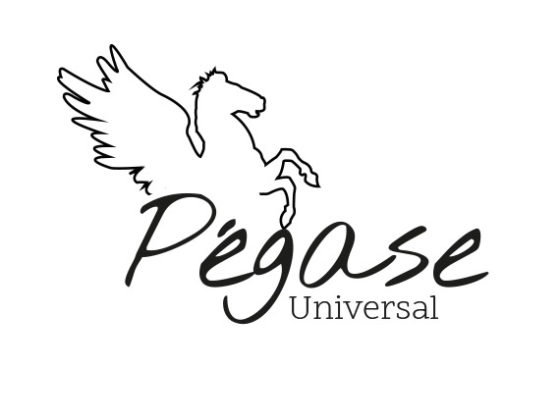 logo Pegase Universe proposition