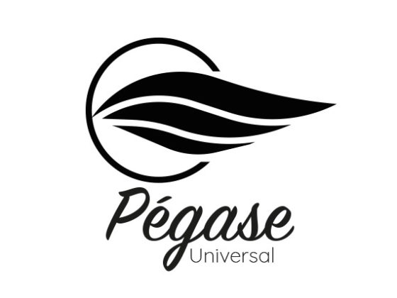 logo Pegase Universe proposition