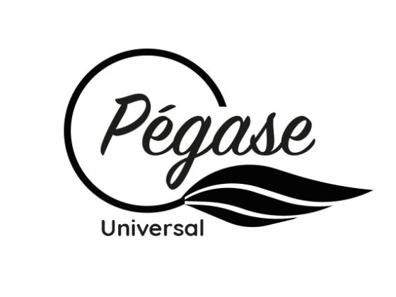 logo Pegase Universe proposition