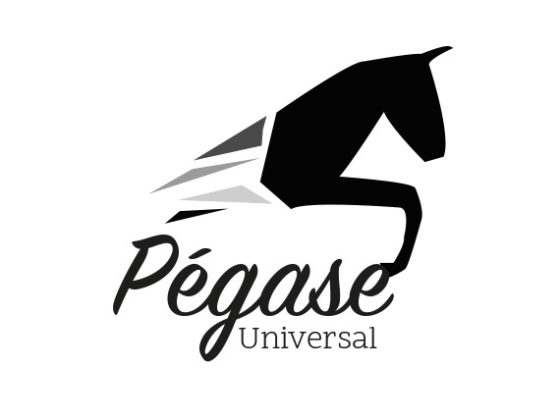 logo Pegase Universe proposition