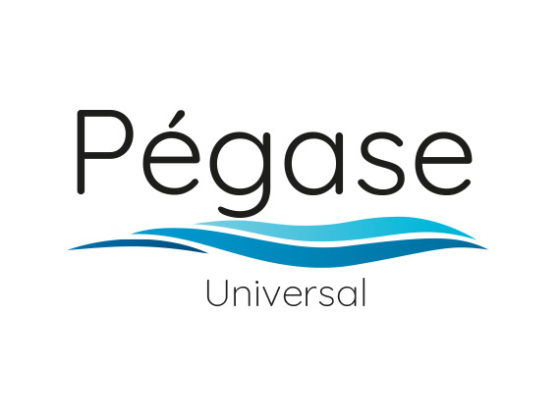 logo Pegase Universe proposition