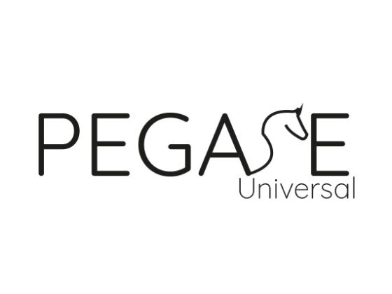 logo Pegase Universe validé